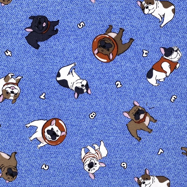 數字法鬥犬-初步鞋/成長鞋/漫步鞋