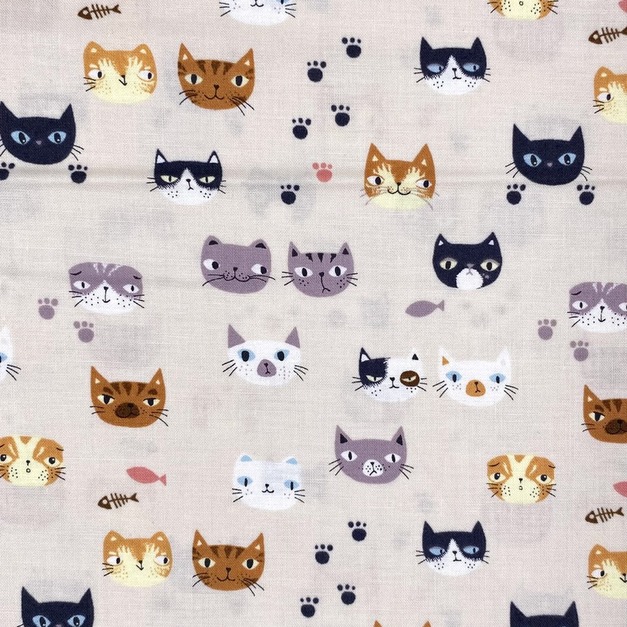 貓仔世界-初步鞋/成長鞋/漫步鞋