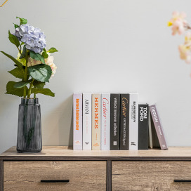 仿真裝飾假書(H款)