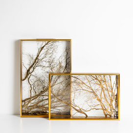 金色樹枝透明托盤