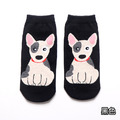 【S161】韓系滿版大狗低筒襪(5色)_7