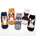 【S161】韓系滿版大狗低筒襪(5色)_1