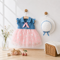【BG288】日系牛仔刺繡花朵網紗無袖澎澎洋裝(2色)