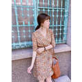 Medium Length Dress_1