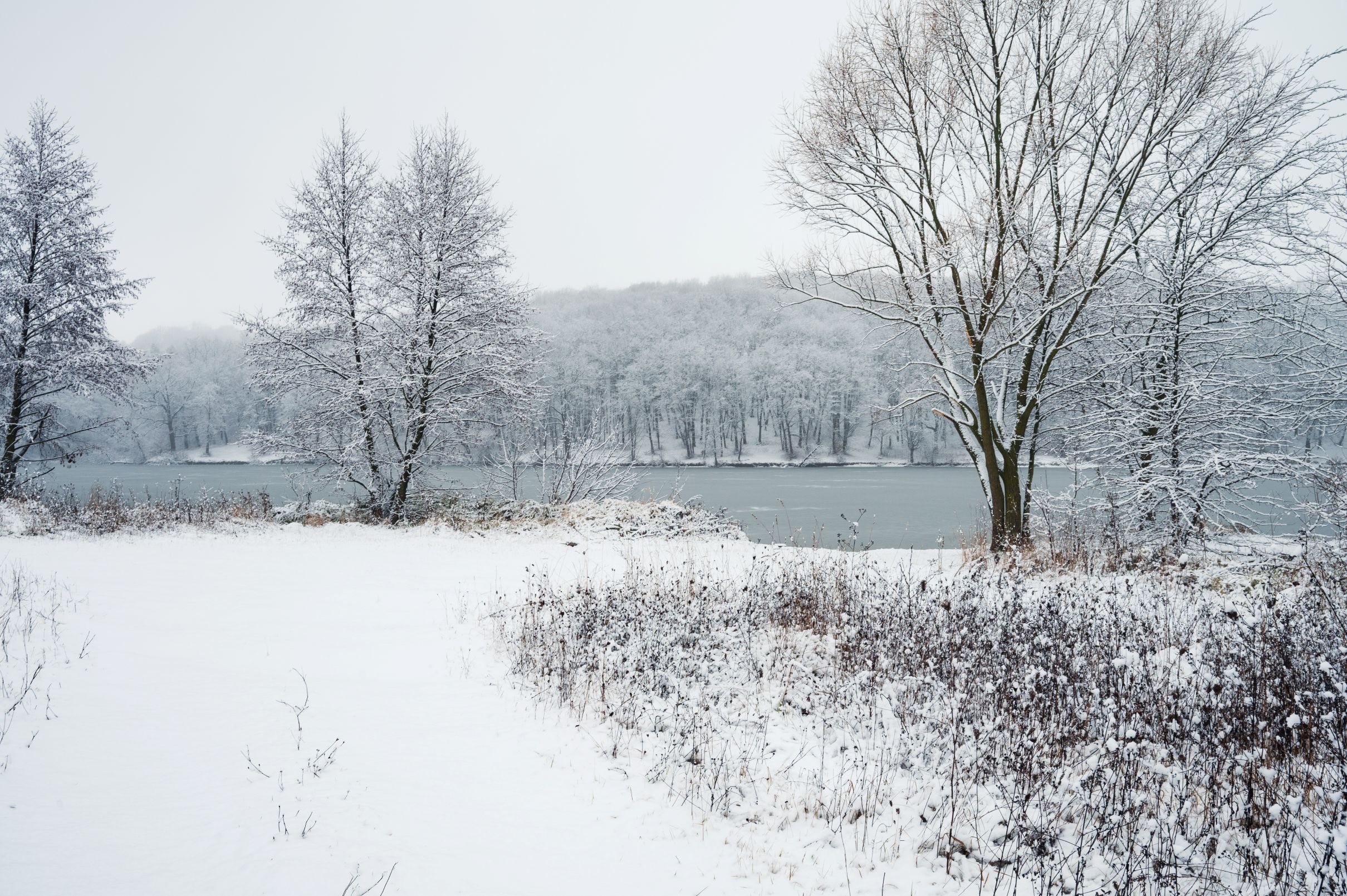 乾燥空氣導致鼻腔黏膜受損