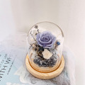 不凋花｜玻璃花盅_7