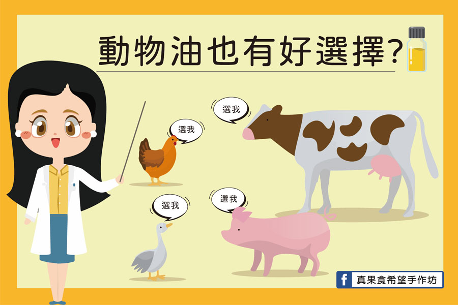 減重不能吃油？動物油很不好？營養師教你如何選擇！