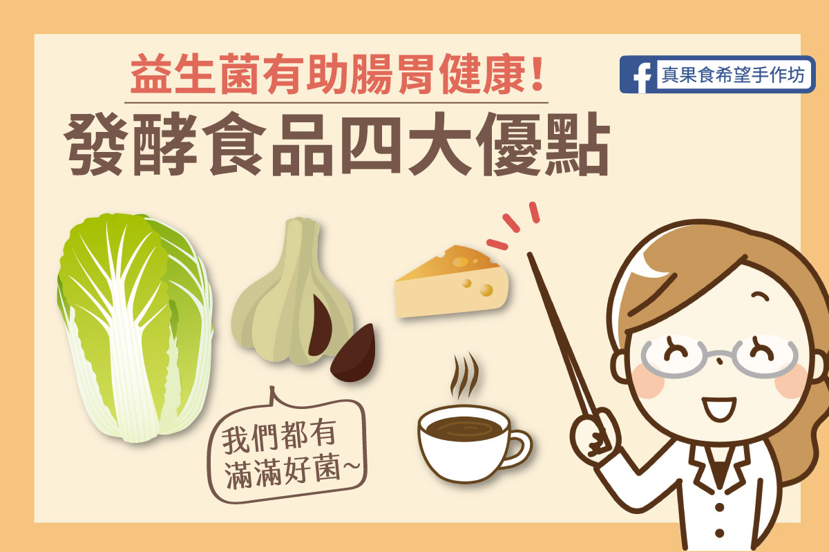 【專欄】腸胃道不好嗎？需補充益生菌！吃發酵食品開始日常保養！