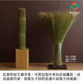 原生藺草束Grass-Object & 特製壓克力花器_20