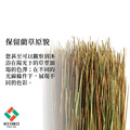 原生藺草束Grass-Object_13