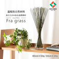 【年末送禮推薦】原色藺草花藝束Fra-Grass 60cm_11