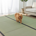 撥水榻榻米Rise 88x176cm_6