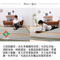 藺草地毯DX Ralph 191x250cm_14