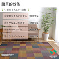 藺草地毯DX ColorBlock 140x200cm_12