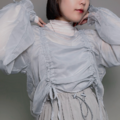 雙抓皺澎袖透膚上衣（二色）