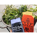 午時鹽聖草｜加強淨化_4