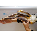 生凍鱈場蟹腳700-900g