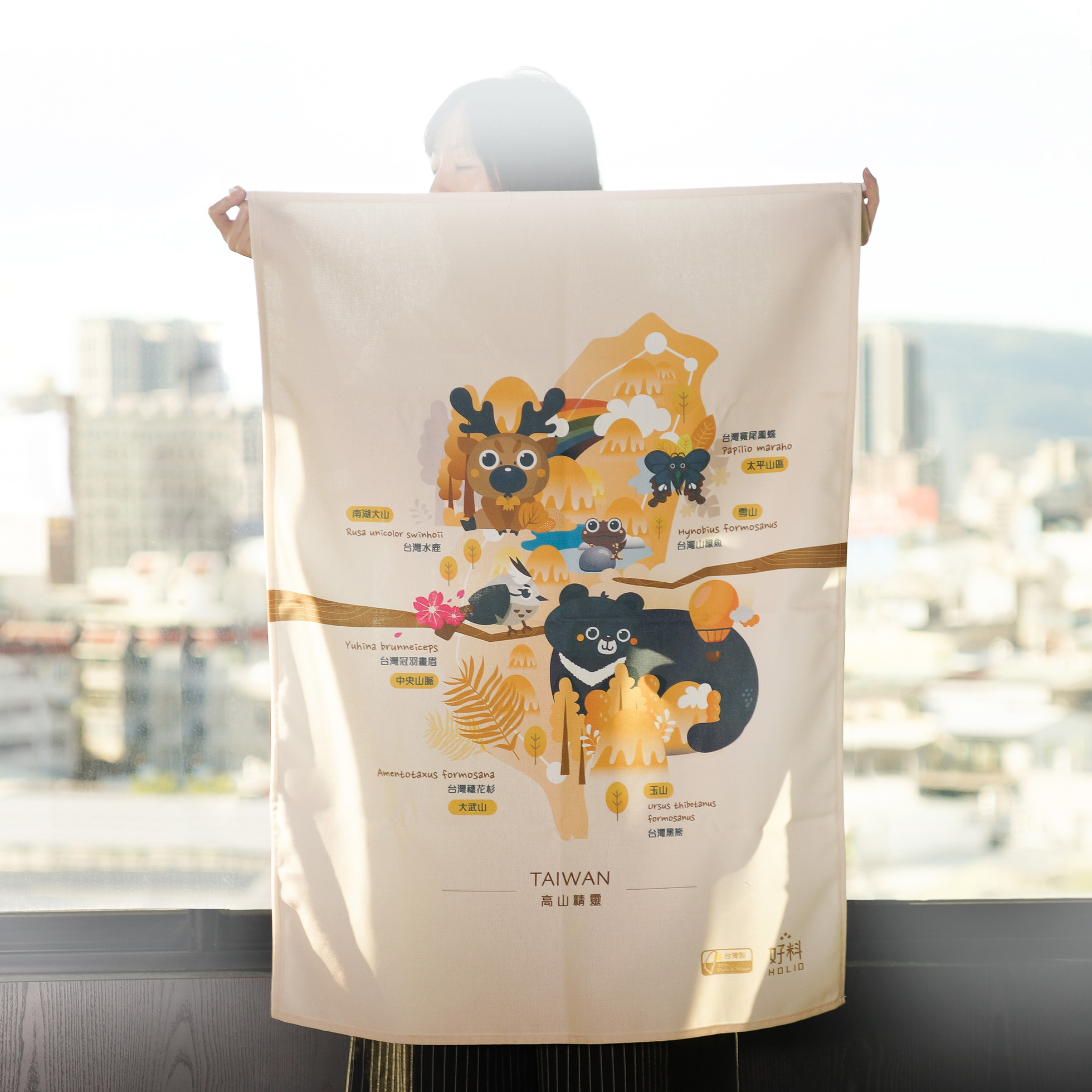 台湾 台湾のユニークな地図キャンバス吊り布カーテン HOLIO - Pinkoi