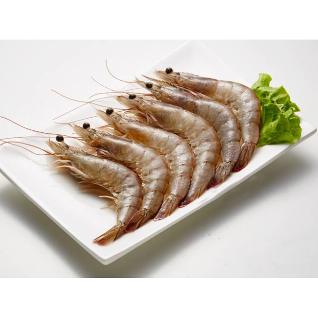 活凍大白蝦 （宏都拉斯）