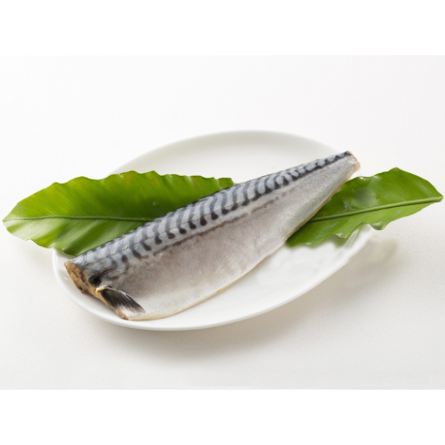 挪威鯖魚片