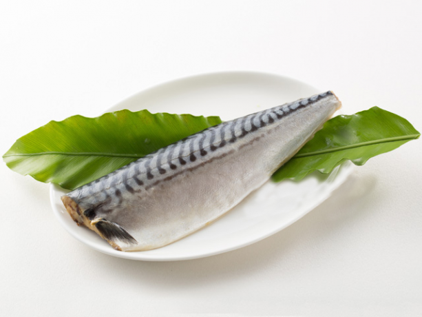 挪威鯖魚片