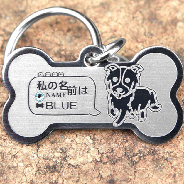 牧羊犬們『骨vs圓』 喜樂蒂、邊境、古牧