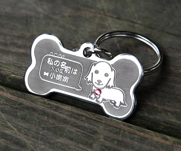 短腿家族『骨vs圓』臘腸、柯基