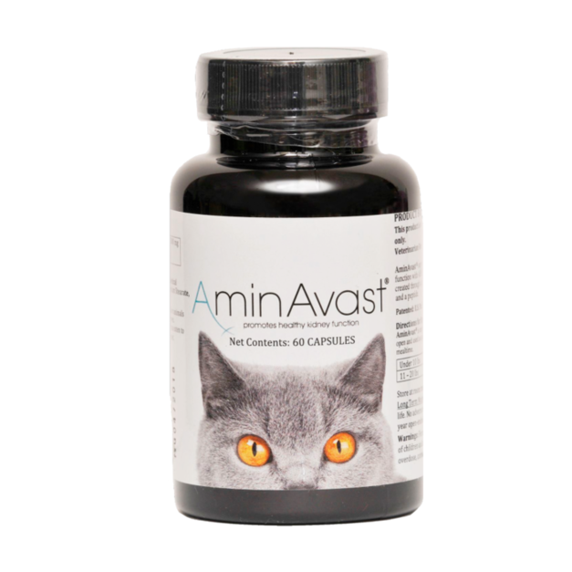 AminAvast胺腎貓或小型犬用慢性腎衰竭營養補充
