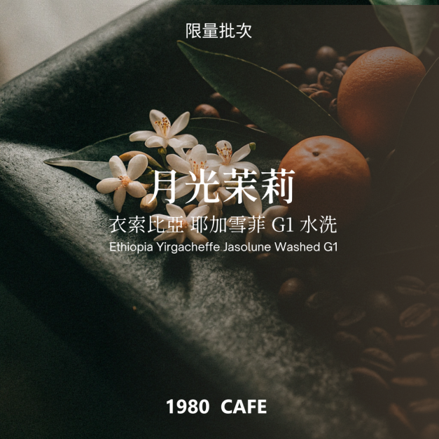 衣索比亞 耶加雪菲 月光茉莉 水洗 G1 