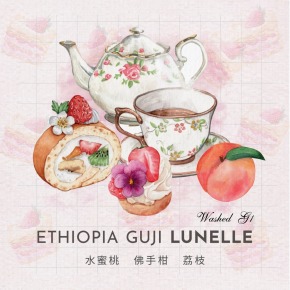 衣索比亞 谷吉 璇音 水洗 G1 