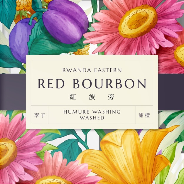 盧安達 東部省 胡穆雷處理廠 紅波旁 水洗處理法