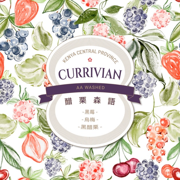 肯亞 中部省 醋栗森語 水洗 AA