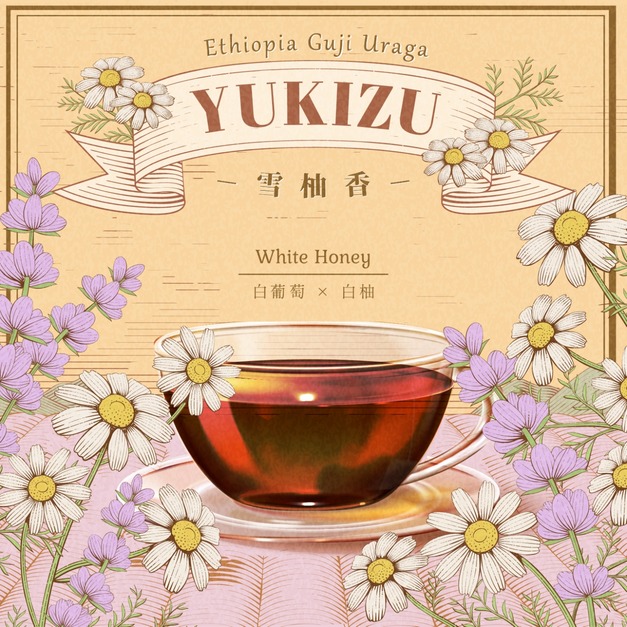 衣索比亞 谷吉 烏拉嘎 雪柚香 白蜜處理