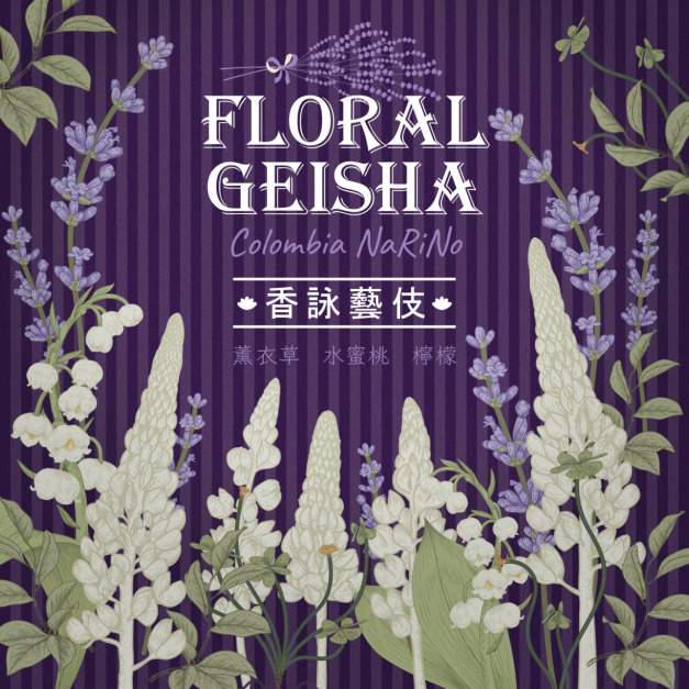 哥倫比亞 納里尼奧 香詠藝伎 水洗