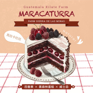 瓜地馬拉 希雅莊園 拉斯米納斯寶礦山脈 馬拉卡杜拉 日曬