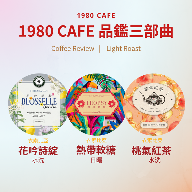 1980 CAFE淺焙光譜・品鑑三部曲