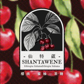 【2025 TOH#2 非洲亞軍】衣索比亞 希達馬 仙特葳 水洗處理 G1 水洗｜農曆新年頭香價