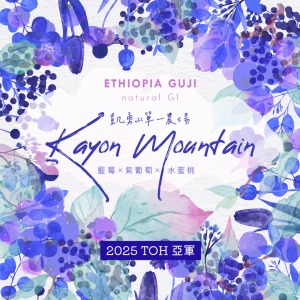 【2025 TOH#2 非洲日曬亞軍】衣索比亞 谷吉 凱勇山單一農場 日曬處理 G1