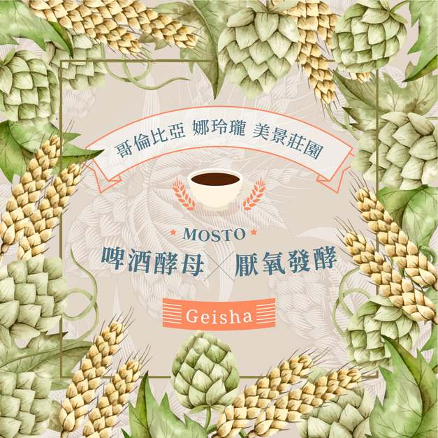 哥倫比亞 美景莊園 藝伎 啤酒酵母與 Mosto 厭氧發酵