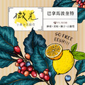 巴拿馬 波奎特 微光小農藝伎 水洗 SHB EP