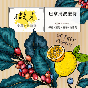 巴拿馬 波奎特 微光小農藝伎 水洗 SHB EP
