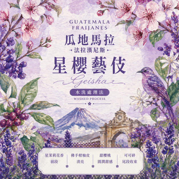 瓜地馬拉 法拉漢尼斯 星櫻藝伎 水洗處理法 (100克)