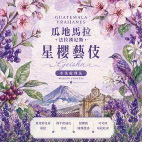 瓜地馬拉 法拉漢尼斯 星櫻藝伎 水洗處理法 (100克)