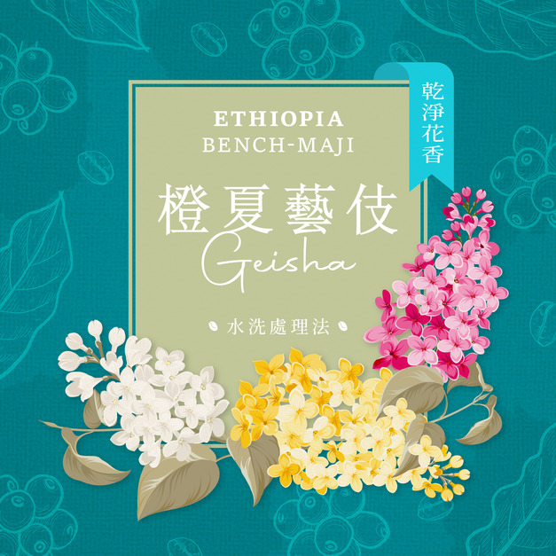 衣索比亞 班奇馬吉 橙夏藝伎 水洗處理法