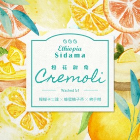 衣索比亞 希達瑪 橙花甜霜 水洗處理法 G1