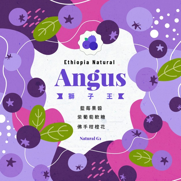 衣索比亞 谷吉 安格斯獅子王 日曬處理法 G1