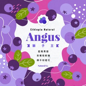 衣索比亞 谷吉 安格斯獅子王 日曬處理法 G1