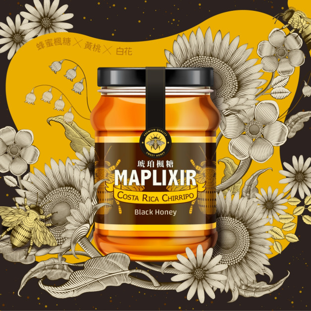 哥斯大黎加 奇里波山谷 重生莊園 琥珀楓糖 黑蜜處理法