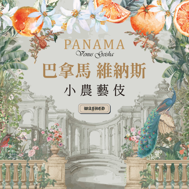 巴拿馬 維納斯 小農藝伎 水洗處理法 (100克)