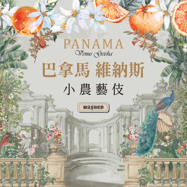 巴拿馬 維納斯 小農藝伎 水洗處理法 (100克)